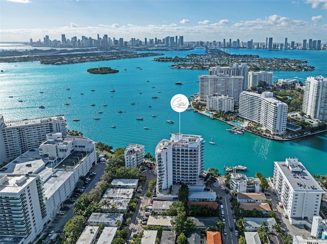 bird's eye view with a water view