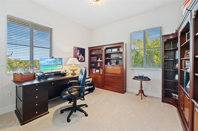 office space featuring plenty of natural light and light carpet