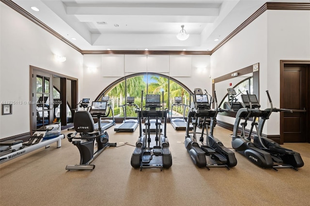 exercise room with ornamental molding, a towering ceiling, and a tray ceiling