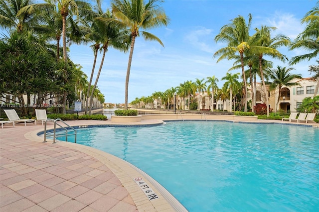 view of pool featuring a patio