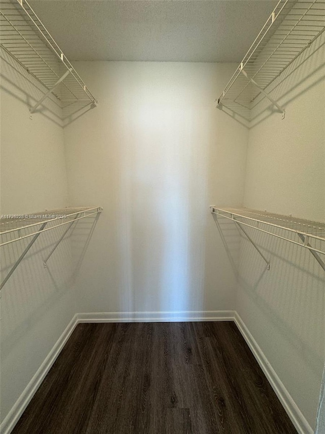 walk in closet with dark hardwood / wood-style floors