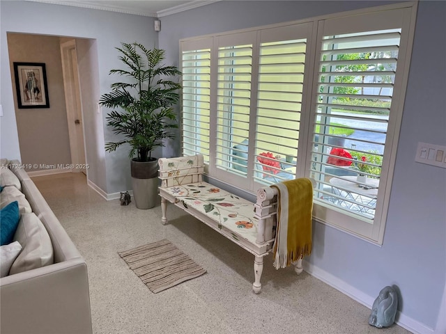 sitting room featuring ornamental molding and a wealth of natural light