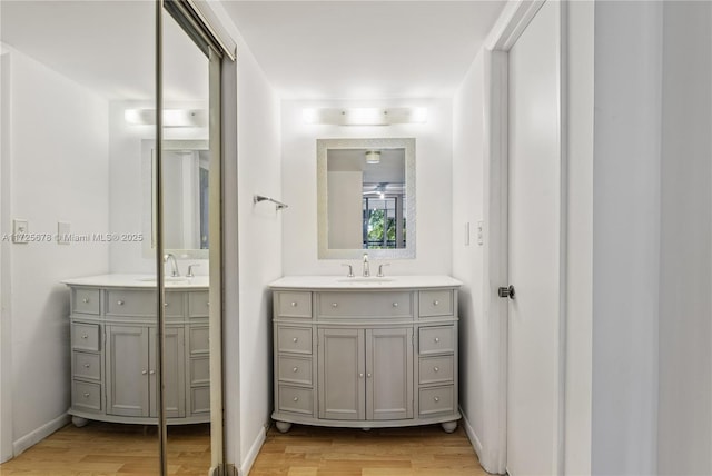 bathroom featuring wood-type flooring and vanity