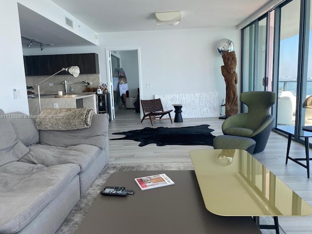 living room with a healthy amount of sunlight, light wood-type flooring, expansive windows, and rail lighting