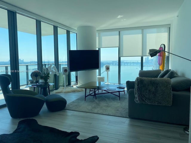 living room featuring light wood-type flooring and expansive windows