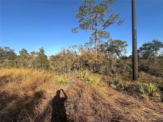 127 Patton Ave, Lake Placid FL, 33852 land for sale