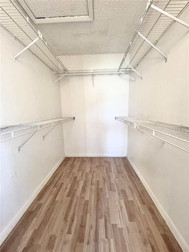 walk in closet featuring hardwood / wood-style flooring