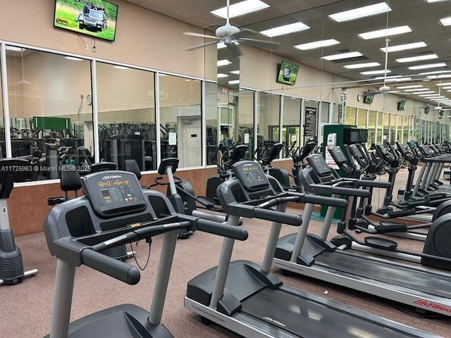 workout area featuring ceiling fan and a drop ceiling