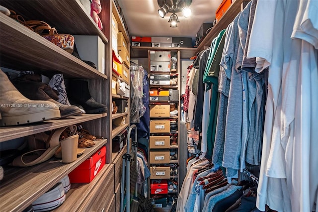 view of walk in closet