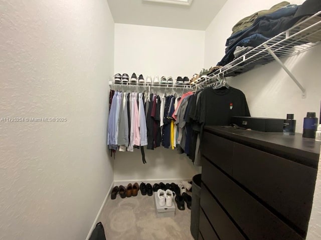 walk in closet featuring carpet flooring