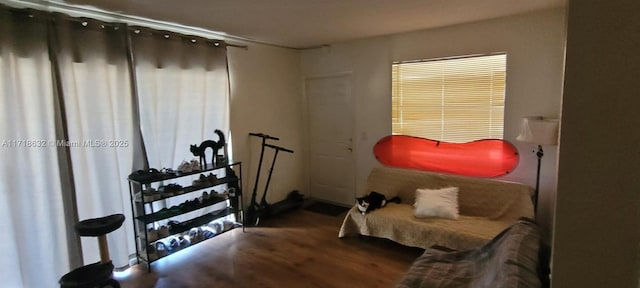 interior space featuring hardwood / wood-style flooring