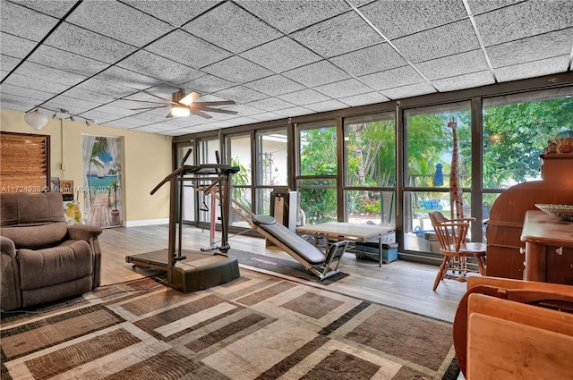 interior space with ceiling fan, a drop ceiling, a wall of windows, and hardwood / wood-style flooring