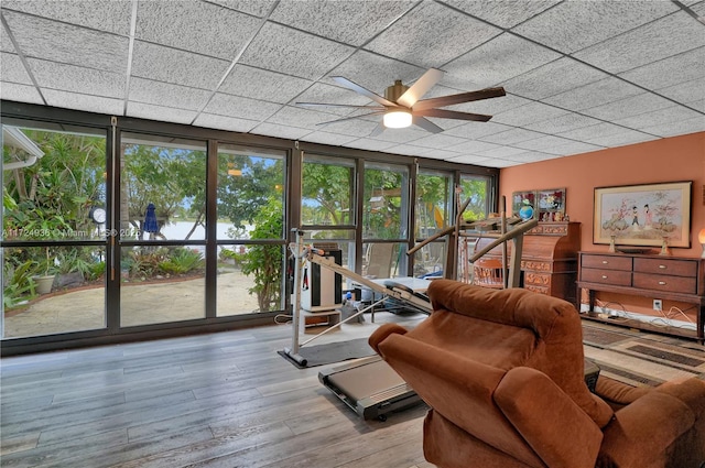 living room with ceiling fan, a wealth of natural light, expansive windows, and hardwood / wood-style flooring