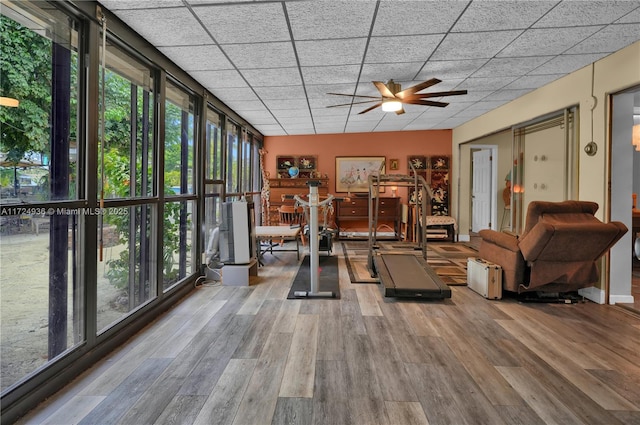 workout room featuring a healthy amount of sunlight, ceiling fan, a paneled ceiling, and hardwood / wood-style flooring