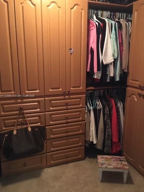 view of closet