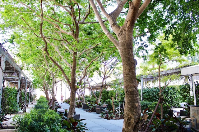 view of home's community with a patio area