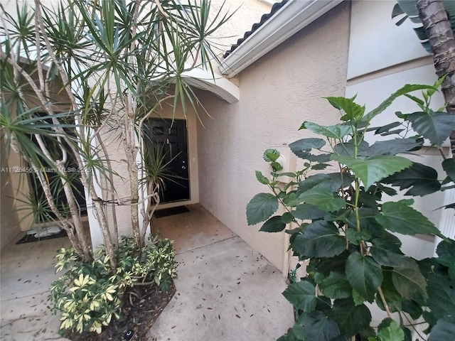 view of exterior entry with a patio area