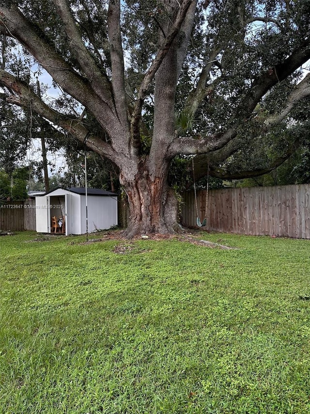 view of yard featuring a shed