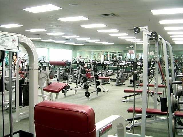 exercise room featuring a drop ceiling and carpet flooring