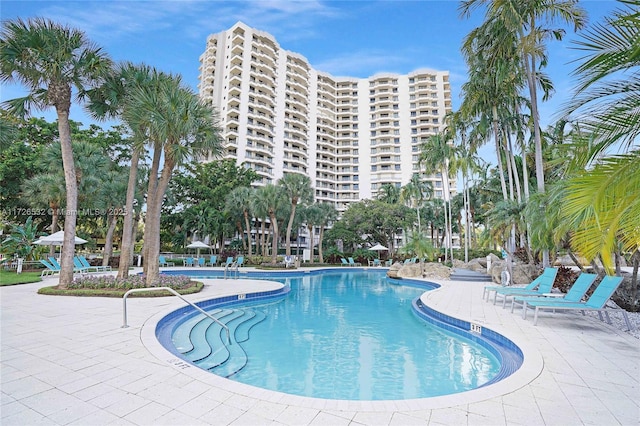 view of pool with a patio