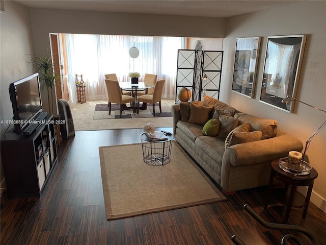 living room featuring dark wood-type flooring