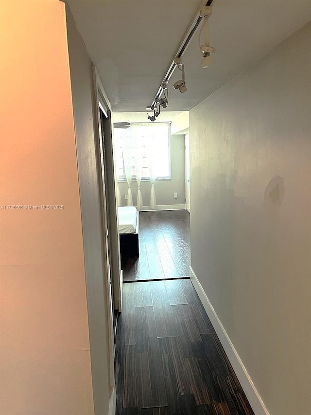 hallway with dark hardwood / wood-style flooring and track lighting