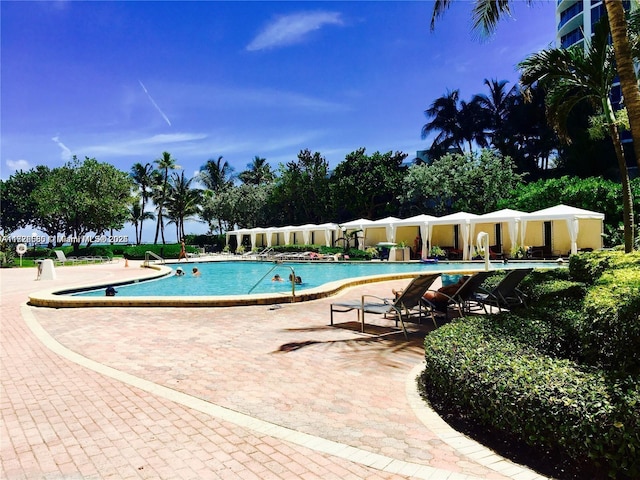 view of swimming pool with a patio