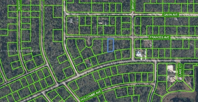 Address Not Disclosed, Lake Placid FL, 33852 land for sale