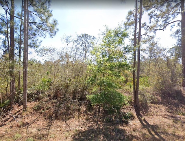 Listing photo 3 for Address Not Disclosed, Lake Placid FL 33852