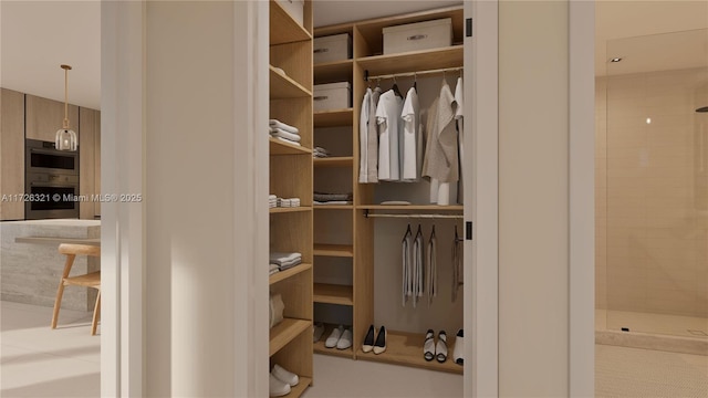 view of closet