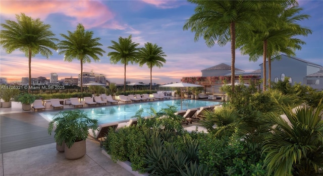 pool at dusk with a patio