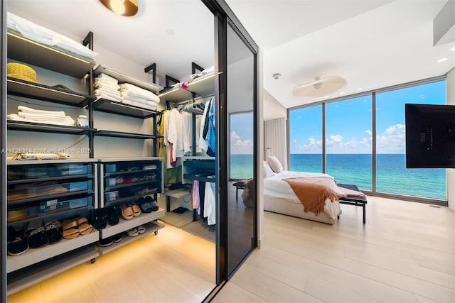 spacious closet featuring light wood-type flooring