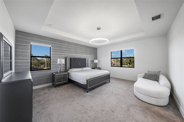 bedroom featuring a textured ceiling, a raised ceiling, and carpet