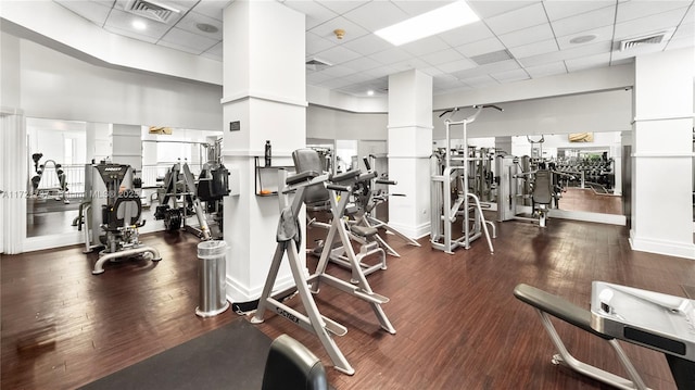 workout area with a paneled ceiling and dark hardwood / wood-style flooring