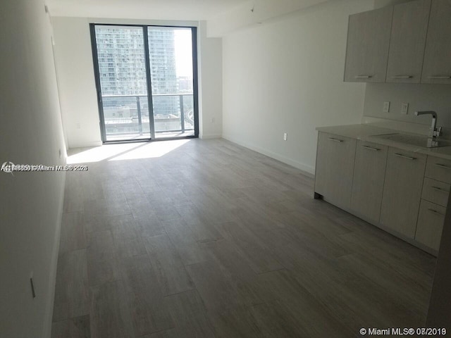 interior space featuring sink, wood-type flooring, and expansive windows