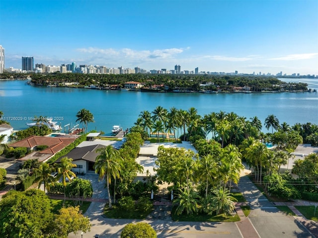 birds eye view of property featuring a water view