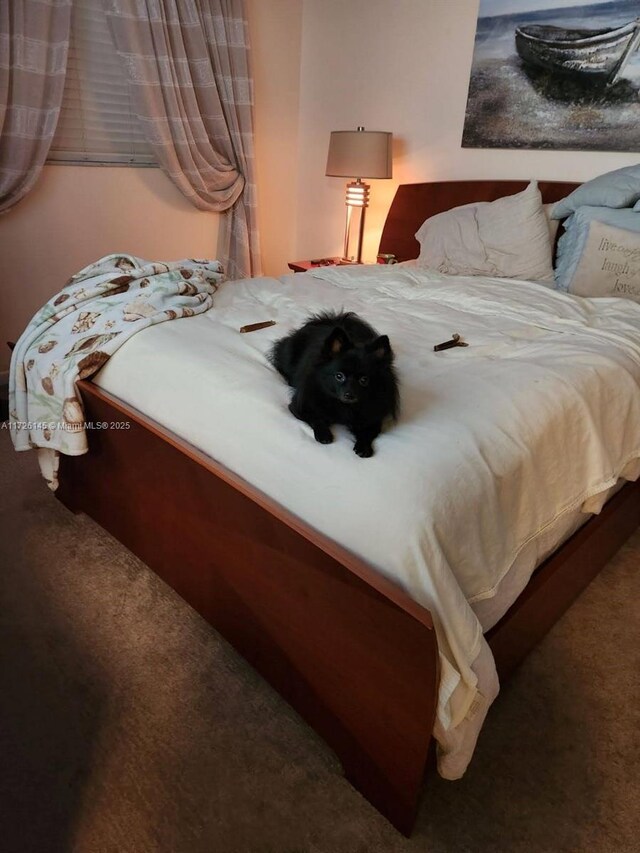 view of carpeted bedroom