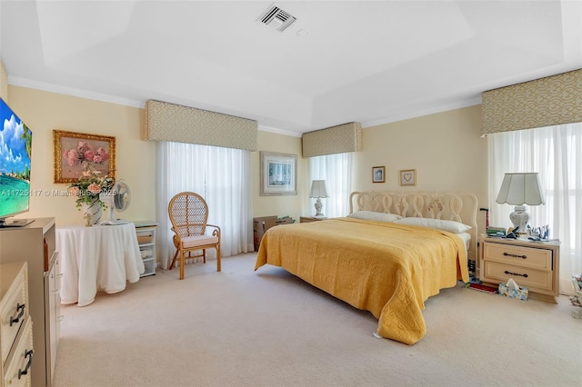 bedroom featuring light carpet and a raised ceiling