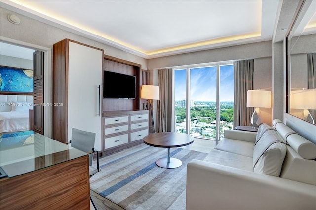 living room featuring a raised ceiling