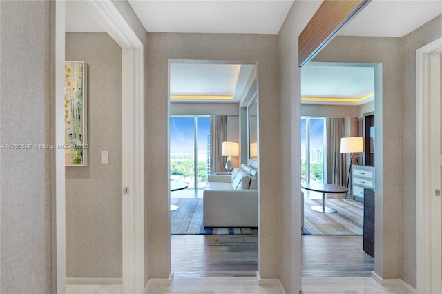 corridor featuring light hardwood / wood-style floors and plenty of natural light