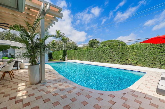 view of swimming pool with a patio