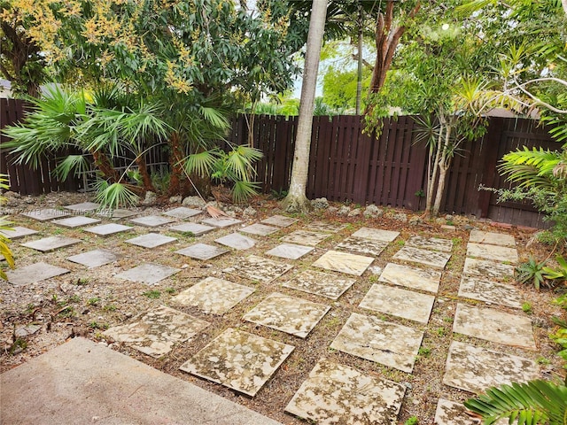 view of yard featuring a patio