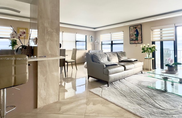 living room featuring crown molding