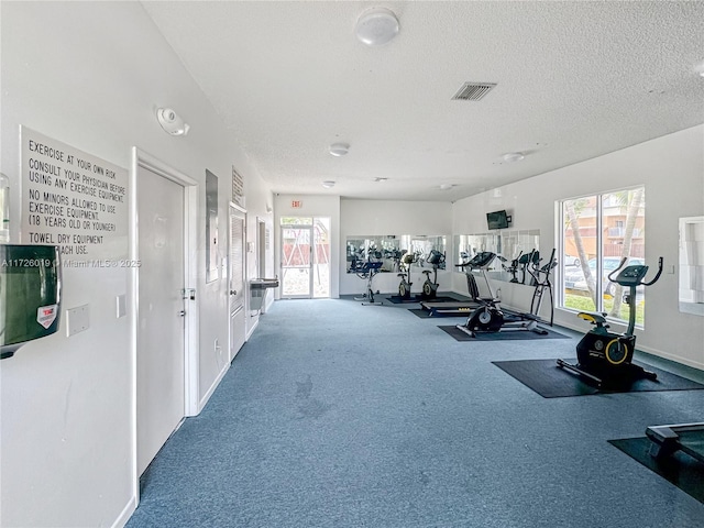 workout area with a textured ceiling and carpet flooring