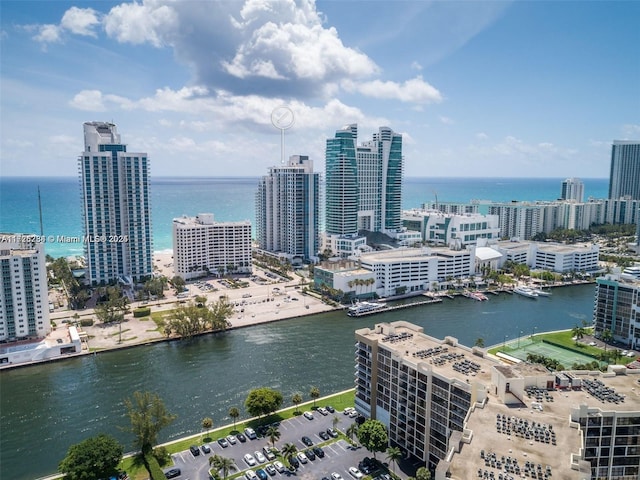 aerial view with a water view