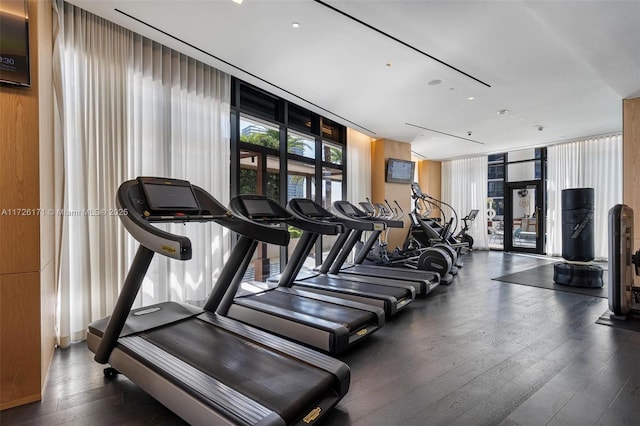 gym featuring hardwood / wood-style flooring