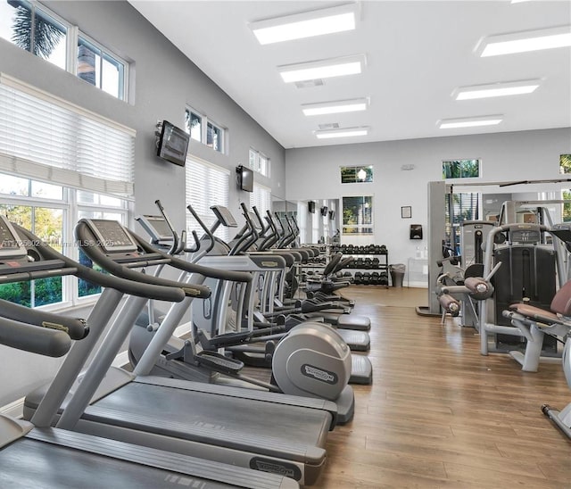 gym featuring hardwood / wood-style floors