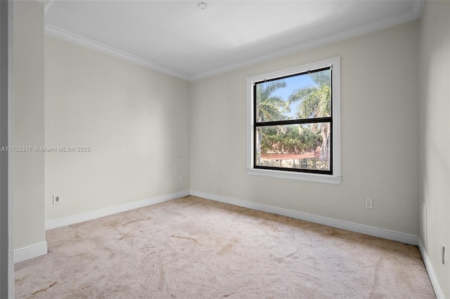 carpeted empty room featuring crown molding