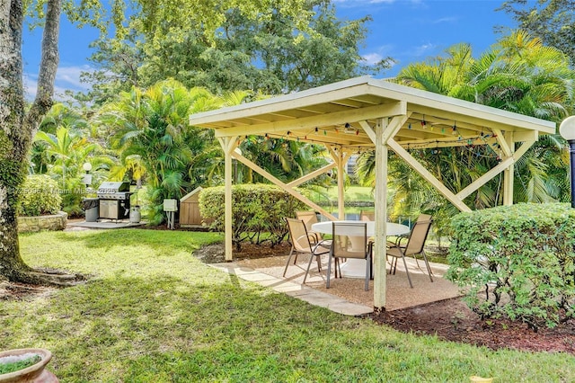 view of yard with a patio area