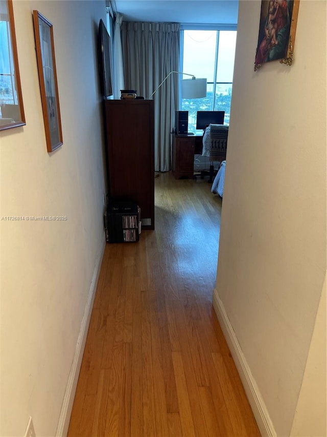 hallway with hardwood / wood-style flooring